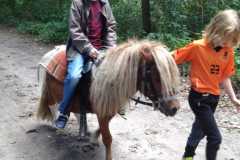 Paardje rijden.