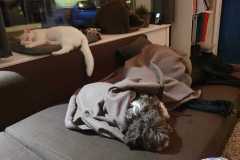 Samen op de bank